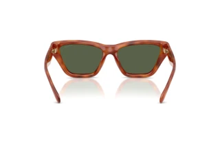 [glasses-back-view] Coach CDP33 (HC8449U - 57749A)