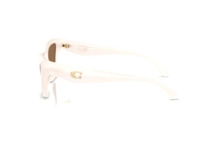 [glasses-side-view] Coach CDP33 (HC8449U - 579073)