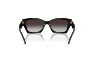 [glasses-back-view] Coach CDP49 (HC8451U - 50028G)