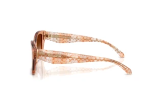 [glasses-side-view] Coach CDP49 (HC8451U - 593774)