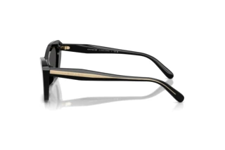 [glasses-side-view] Coach CDP52 (HC8452U - 500287)