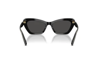 [glasses-back-view] Coach CDP52 (HC8452U - 500287)