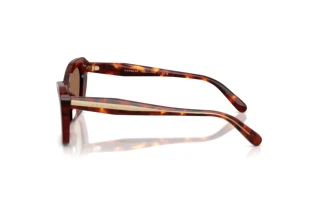 [glasses-side-view] Coach CDP52 (HC8452U - 593873)