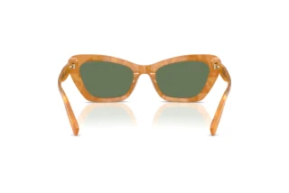 [glasses-back-view] Coach CDP52 (HC8452U - 593982)