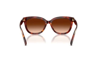 [glasses-back-view] Coach CDP53 (HC8453U - 593874)