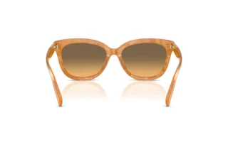 [glasses-back-view] Coach CDP53 (HC8453U - 593911)