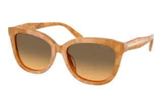 [glasses-front-view] Coach CDP53 (HC8453U - 593911)