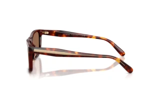 [glasses-side-view] Coach CDP55 (HC8454U - 593813)