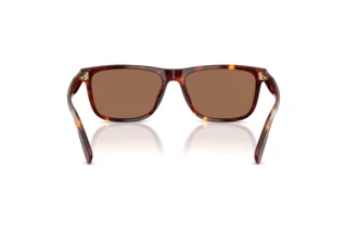 [glasses-back-view] Coach CDP55 (HC8454U - 593813)