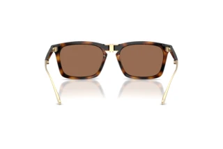 [glasses-back-view] Coach CDP54 (HC8455 - 512013)