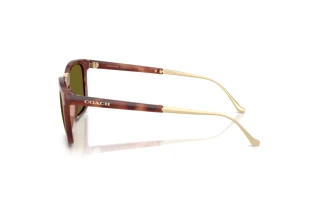 [glasses-side-view] Coach CDP54 (HC8455 - 5774/2)