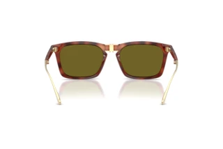 [glasses-back-view] Coach CDP54 (HC8455 - 5774/2)