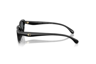 [glasses-side-view] Coach CDP42 (HC8456D - 500281)