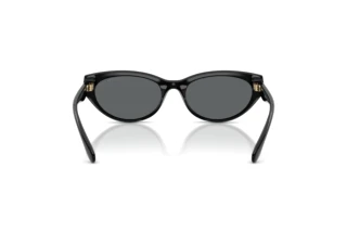 [glasses-back-view] Coach CDP42 (HC8456D - 500281)