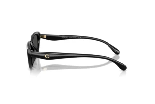 [glasses-side-view] Coach CDP42 (HC8456D - 500287)