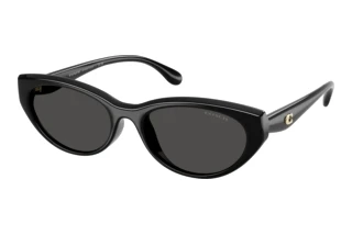 [glasses-front-view] Coach CDP42 (HC8456D - 500287)