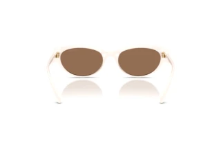 [glasses-back-view] Coach CDP42 (HC8456D - 579073)