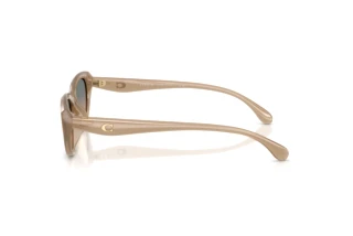 [glasses-side-view] Coach CDP42 (HC8456D - 594413)