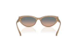 [glasses-back-view] Coach CDP42 (HC8456D - 594413)