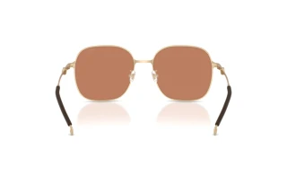 [glasses-back-view] Diesel DL1010D (101173)