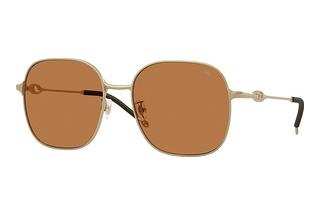 Diesel DL1010D 101173 BrownMatte Gold