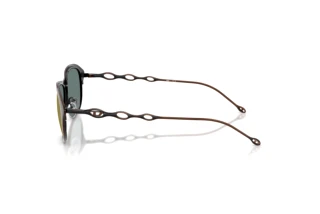 Vista lateral Diesel DL1011 (10254Z)