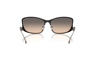 [glasses-back-view] Diesel DL1013 (1023I9)