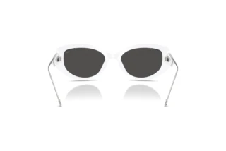 [glasses-back-view] Diesel DL2001MU (712/87)