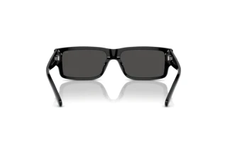 [glasses-back-view] Diesel DL2003 (701/87)