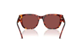 Vista posterior Diesel DL2005 (202375)