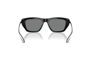 Vedere din spate Diesel DL2006 (200187)