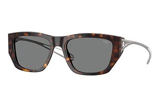 Diesel DL 2006 200387