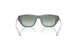 Vedere din spate Diesel DL2006 (2027B6)