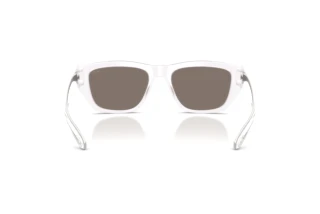 Vedere din spate Diesel DL2006 (20286G)