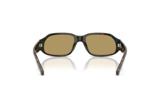 [glasses-back-view] Diesel DL2009U (2042/2)