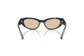 [glasses-back-view] Diesel DL2010U (204193)