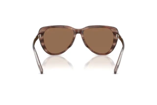 [glasses-back-view] Diesel DL2011U (203673)