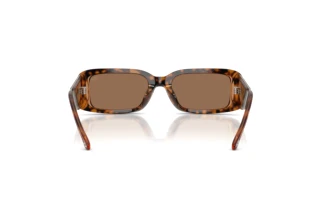 [glasses-back-view] Diesel DL2017U (205073)