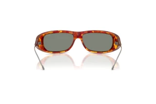 [glasses-back-view] Diesel DL3001 (20236R)