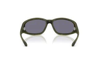 Vy bakifrån Diesel DL3002 (511/J2)