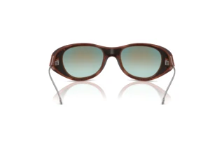 Vista posterior Diesel DL3003 (508/B6)