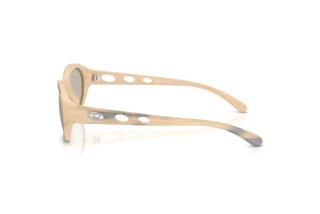 [glasses-side-view] Diesel DL3005U (2008/3)