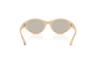 [glasses-back-view] Diesel DL3005U (2008/3)