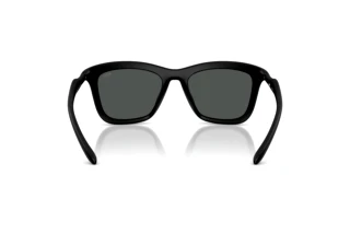 Vedere din spate Diesel DL3008U (200287)