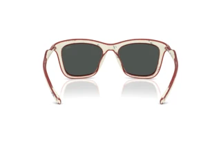 Vedere din spate Diesel DL3008U (201087)