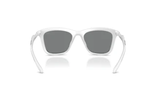 Vedere din spate Diesel DL3008U (202987)