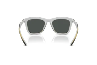 Vedere din spate Diesel DL3008U (203087)