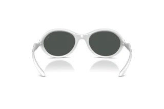 Vedere din spate Diesel DL3009U (202987)