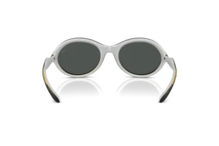 Vedere din spate Diesel DL3009U (203087)