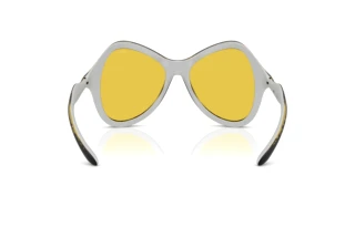 Vedere din spate Diesel DL3010U (2030V9)